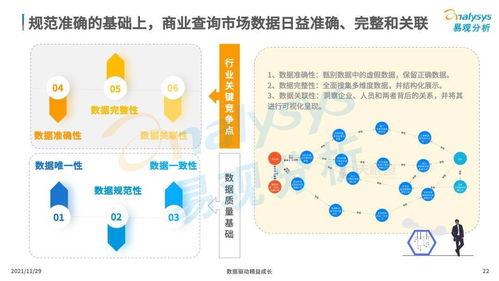 中國(guó)商業(yè)查詢市場(chǎng) 賦能企業(yè)決策，鑄就商業(yè)信任新時(shí)代
